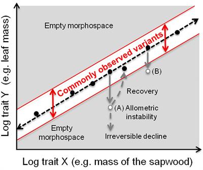 Allometric Trajectories and “Stress”: A Quantitative Approach